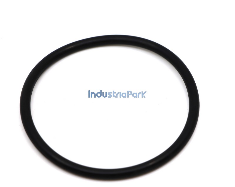 O RING- 60 X 4  10000763