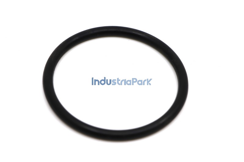 O-RING-60X5  10000765