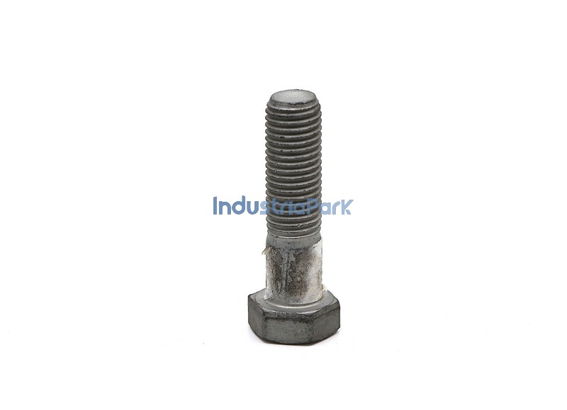 BOLT  10001334