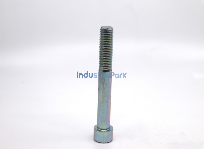 BOLT  10017437