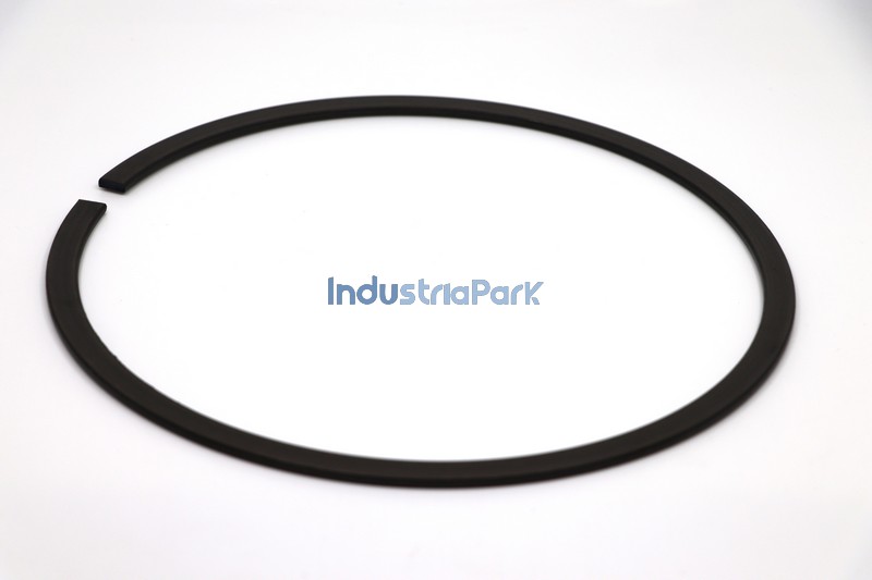 SNAP RING DIN 5419 SP225  10024833