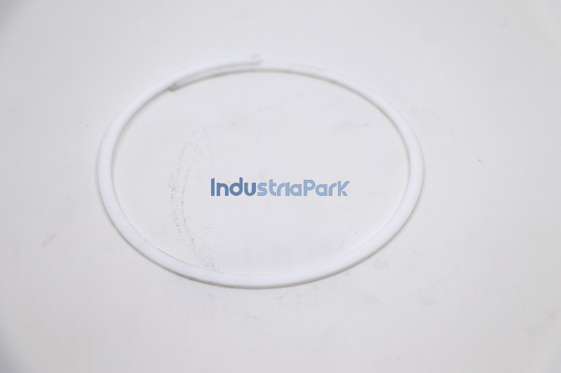 BACK-UP RING  10071952