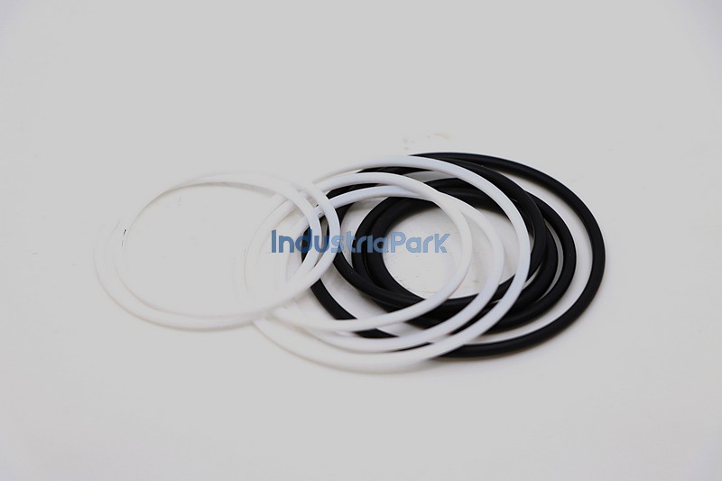 SEALING SET FOR INSERT VALVE  10173758