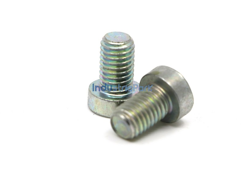 CHEESE HEAD SCREW M10X16  10011969