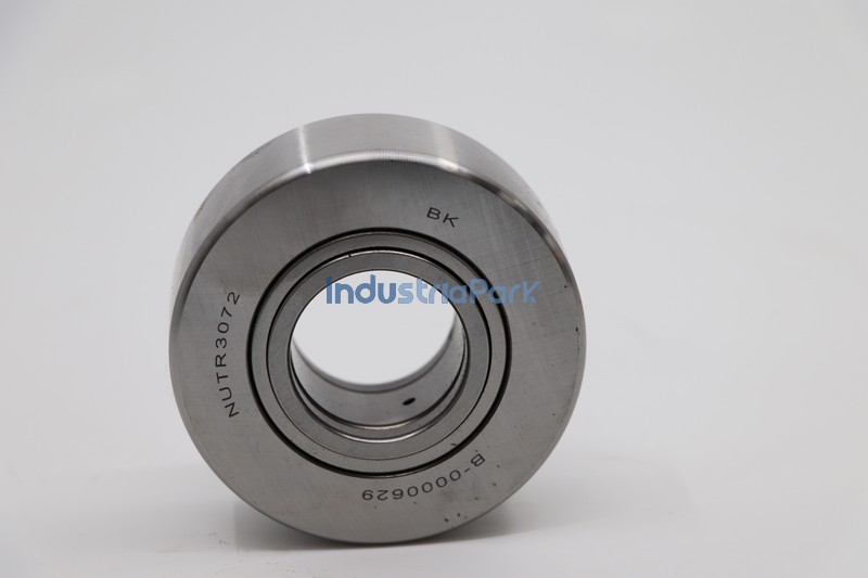 SUPPORTING ROLLER  10166210
