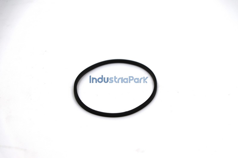 SEALING RING  10151317
