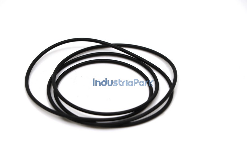 O-RING 124 X 2  10175794