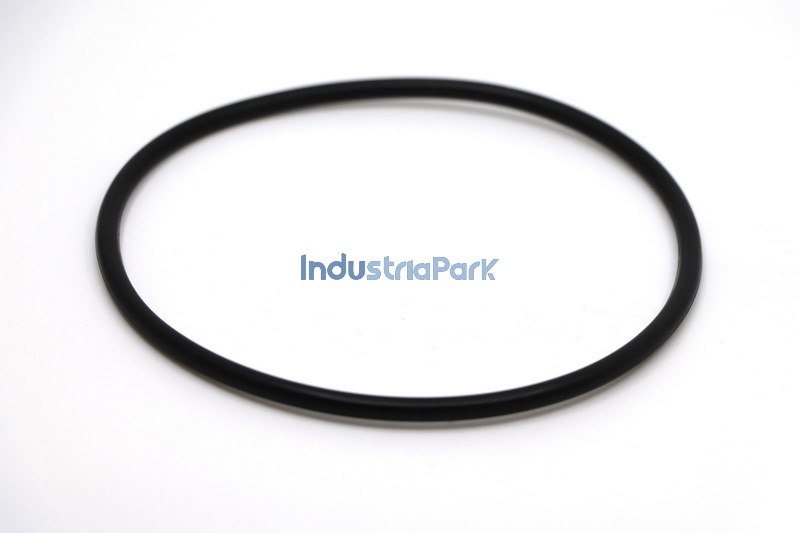 O- RING 125X5  10000380