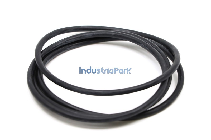 O-RING 100X5  10001113
