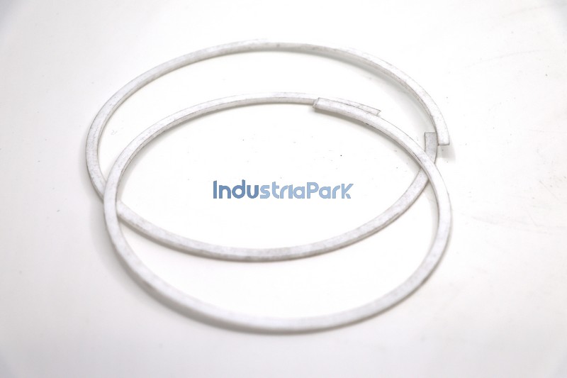 SUPPORT RING 117/125X2  10018351