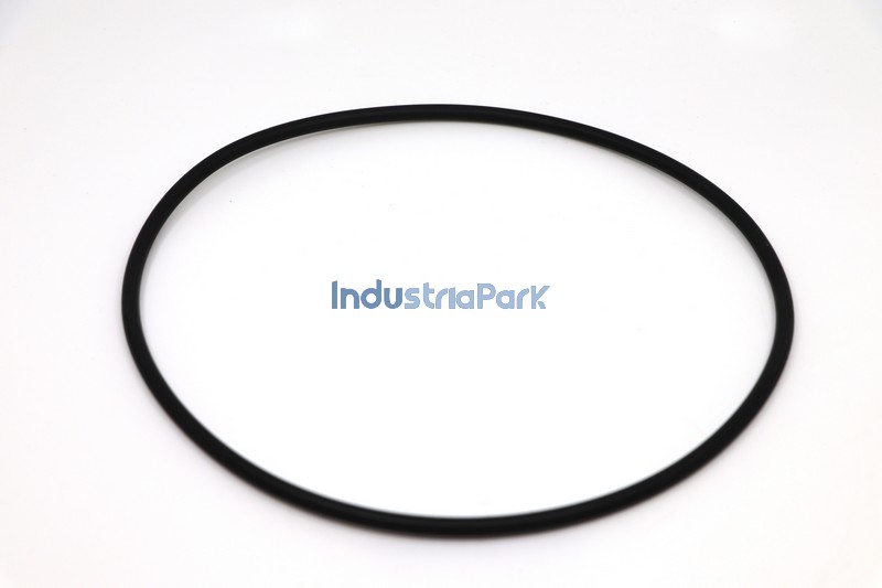 O-RING 170X5  10024101