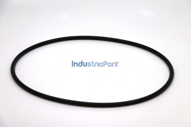 O-RING 212X6  10029561
