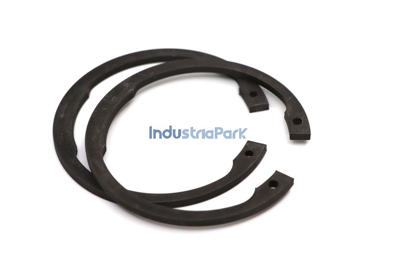 RETAINING RING  10038329