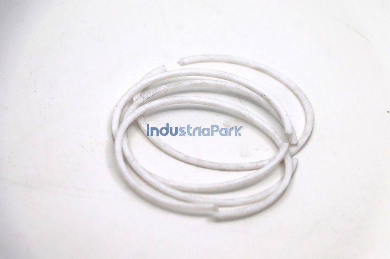 BACKUP RING  10040558