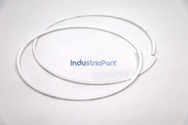 BACK UP RING  10079025