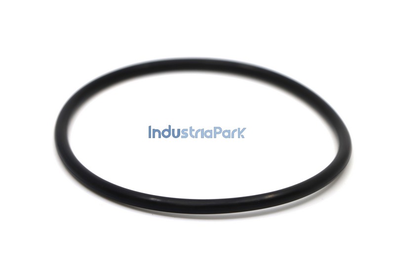 O-RING 100 X 5  10001115