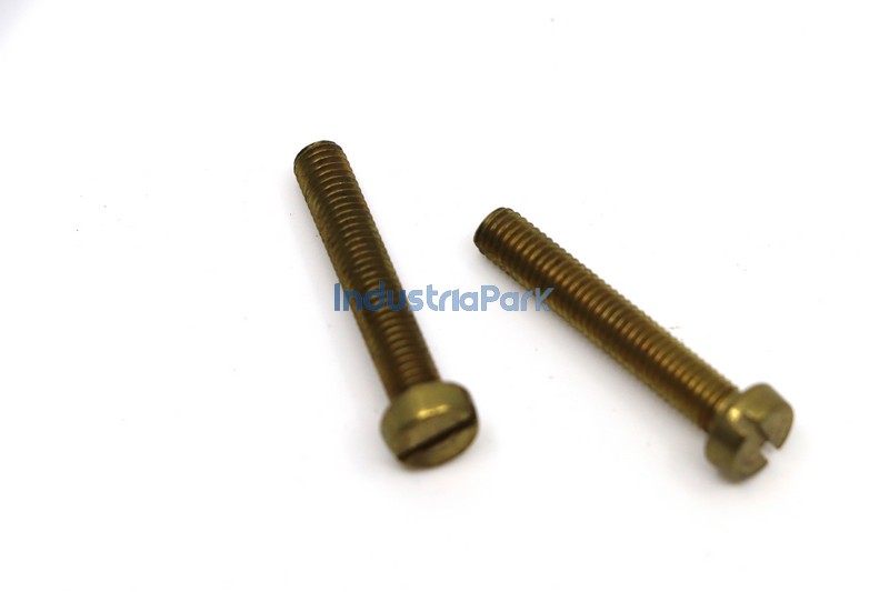 SCREW M 5 X 30  10007076