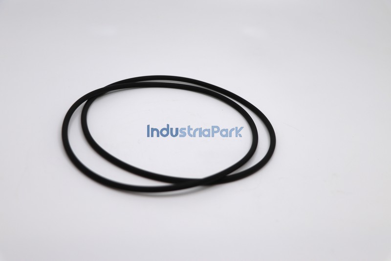 O-RING  10000449