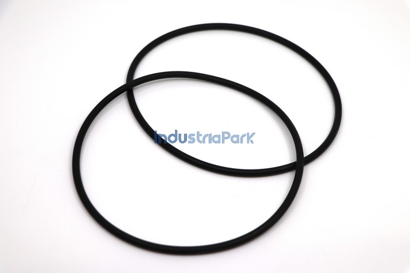 O-RING 150X5  10000463