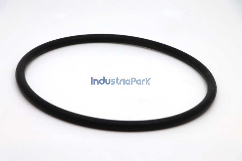 O- RING-200X10  10000602