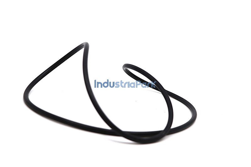 O-RING 265 X 5  10000663