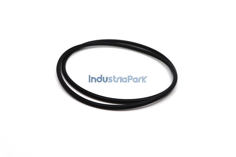 O-RING  10001111