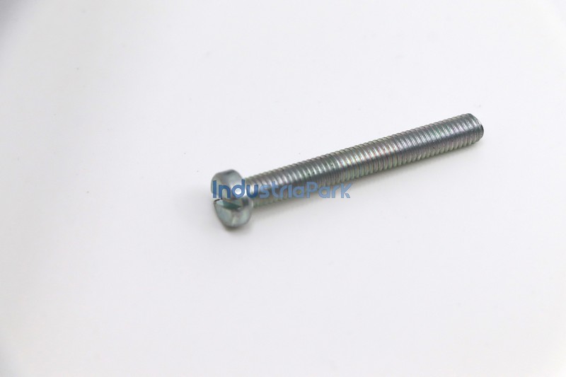 CHEESE HEAD SCREW  10018517