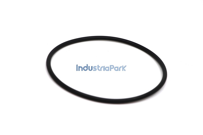 O-RING 100 X 4  10043168
