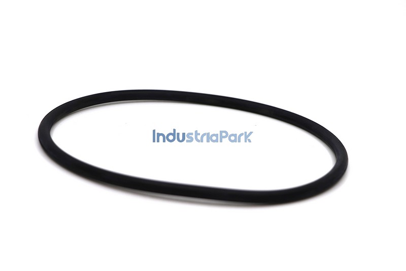 O-RING 138 X 6  10065926