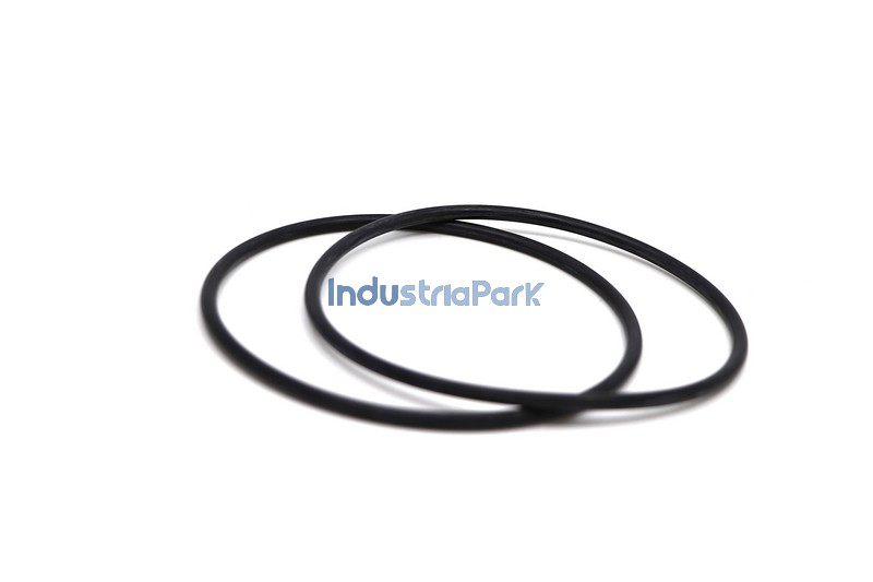 O-RING 102 X 4  10131079