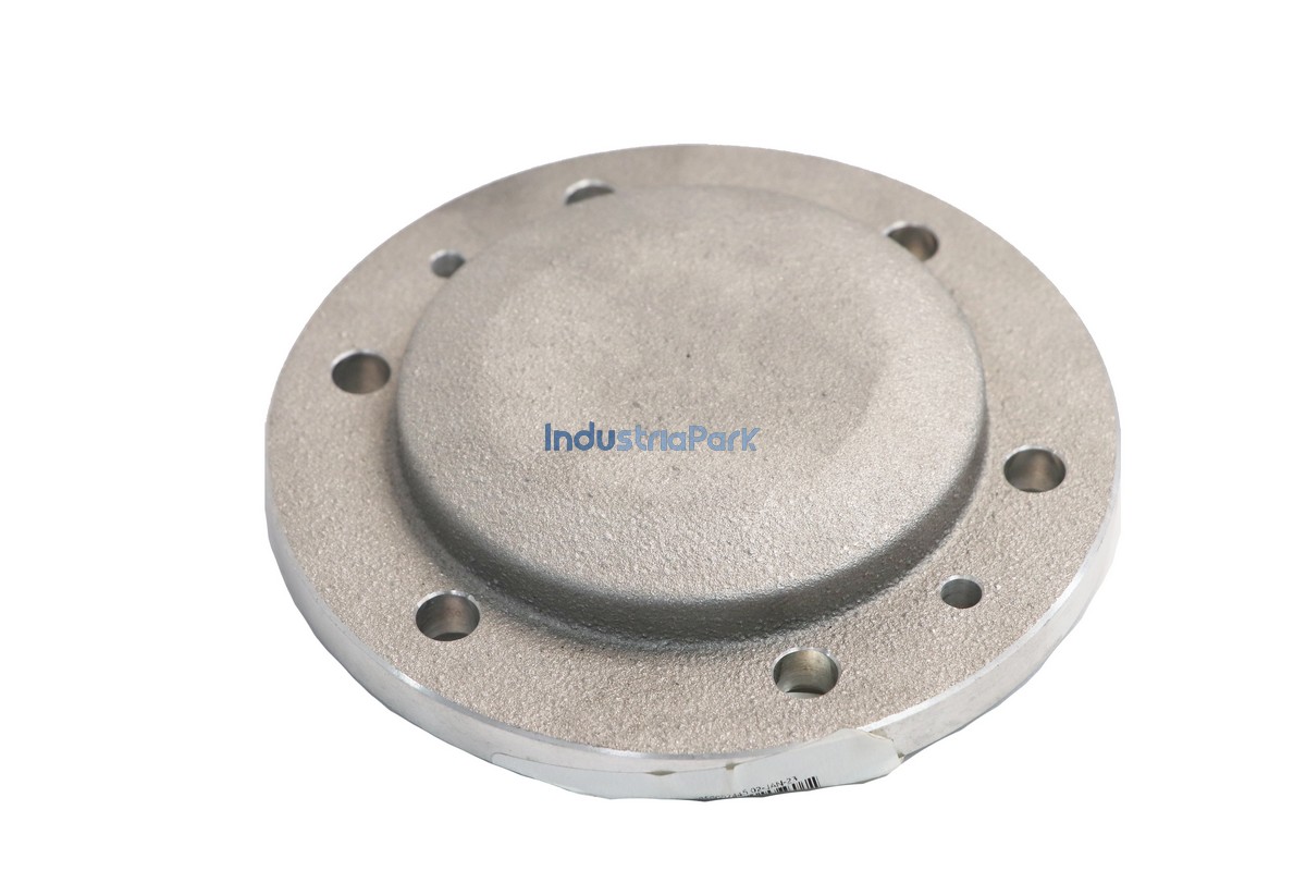 PLT. BEARING COVER  10061079