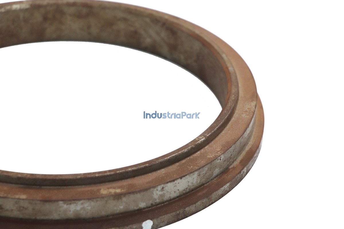 CUTTING RING DN230  10166890