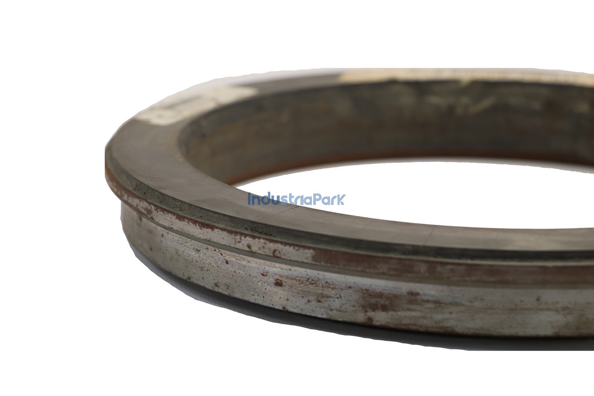 CUTTING RING DN220  10182449