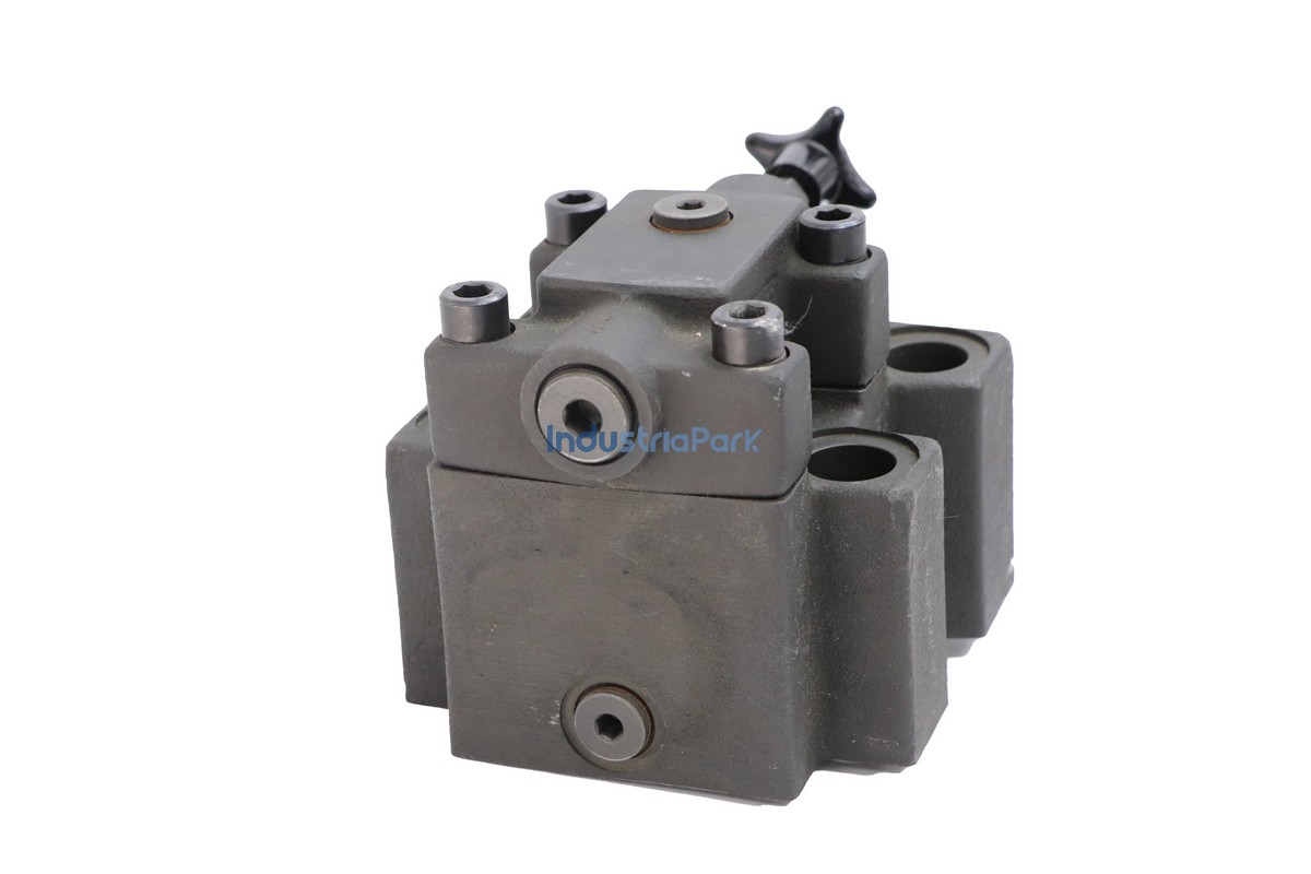 SAFETY VALVE  10009673