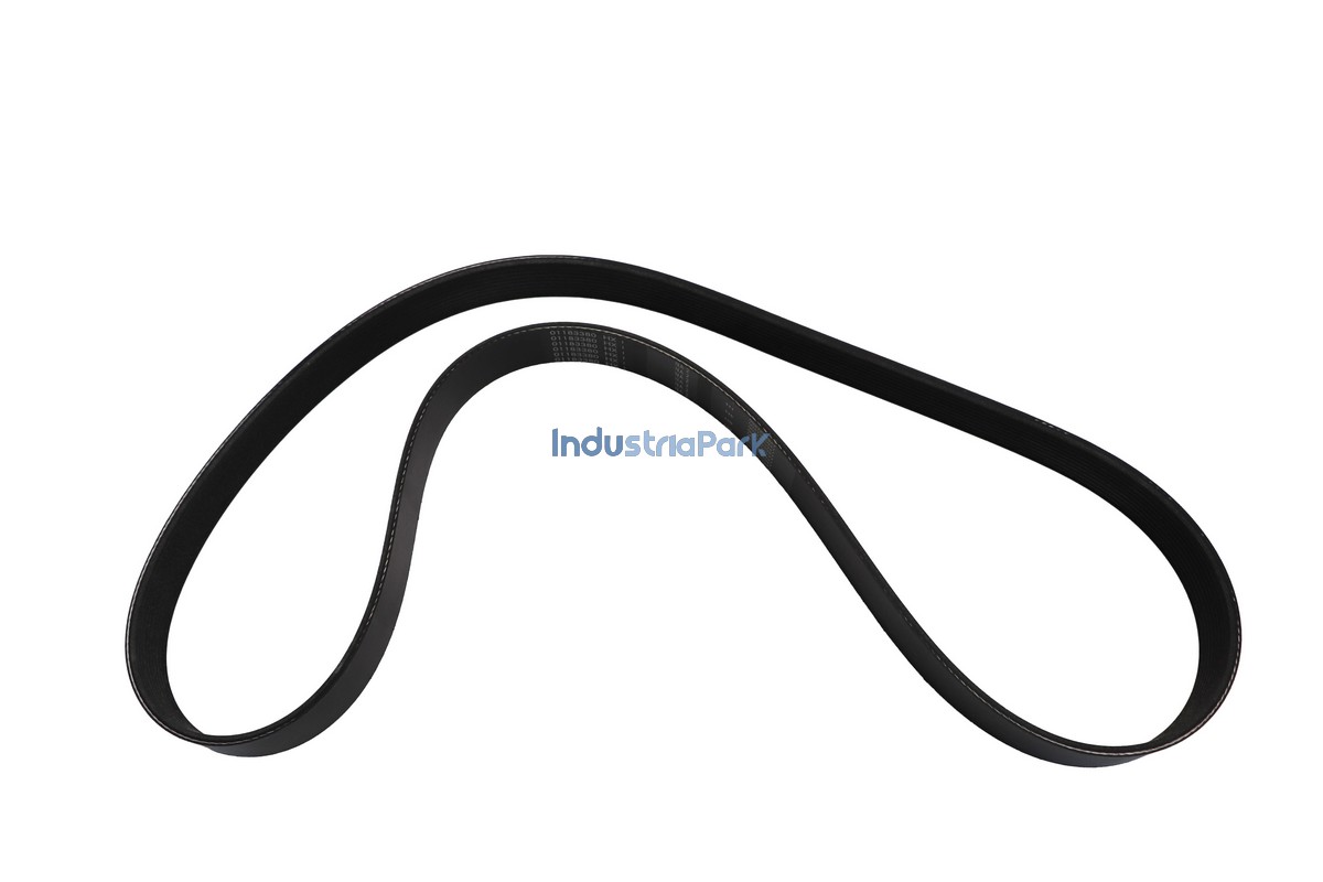 V-belt